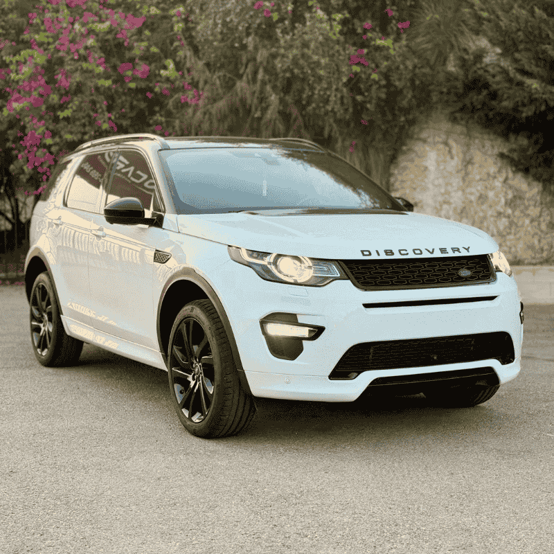 Pro cars Discovery Sport 2017 R-Dynamic