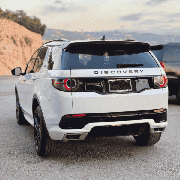 Pro cars Discovery Sport 2017 R-Dynamic