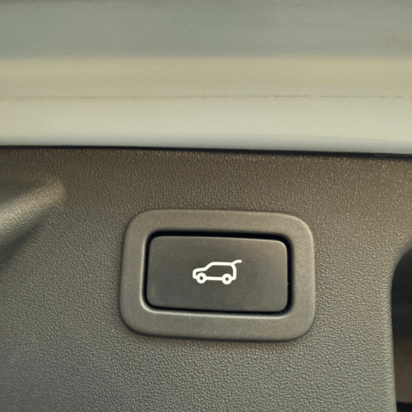 Pro cars Discovery Sport 2017 R-Dynamic